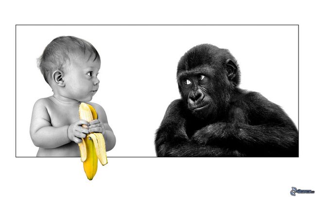 [immagini.4ever.eu] bambino, scimmia, banana 161297p