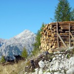 "Tasa de legne" (catasta di legna) sullo sfondo della Croda da Campo